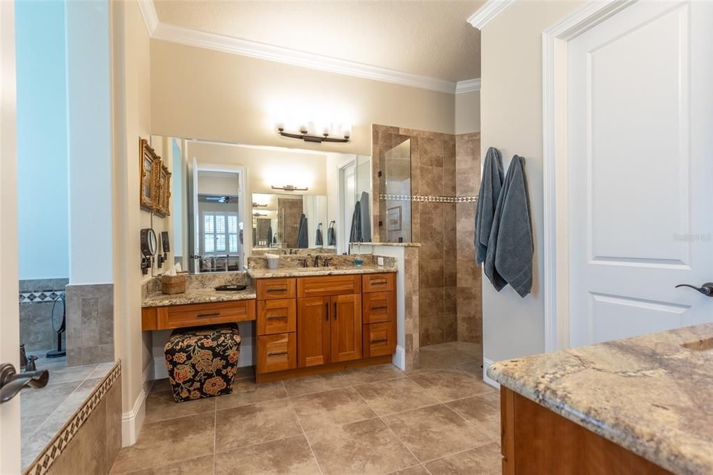Large Primary Bath with Vanity area