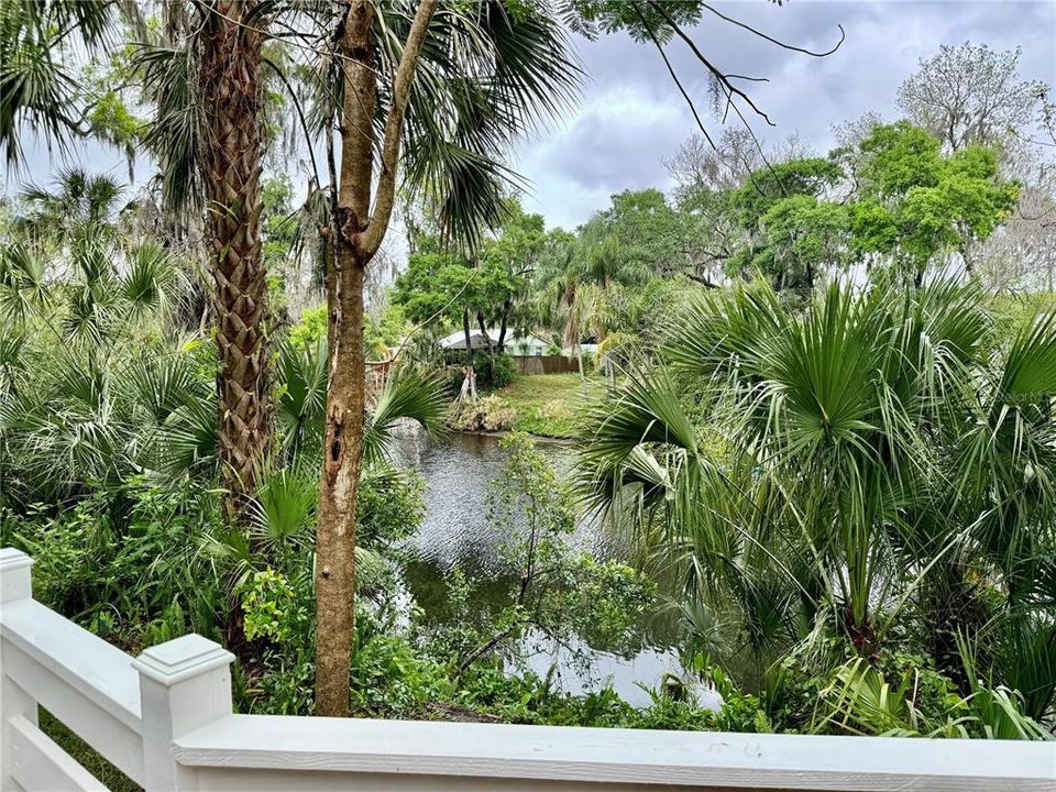 View off back deck located right outsides from the kitchen