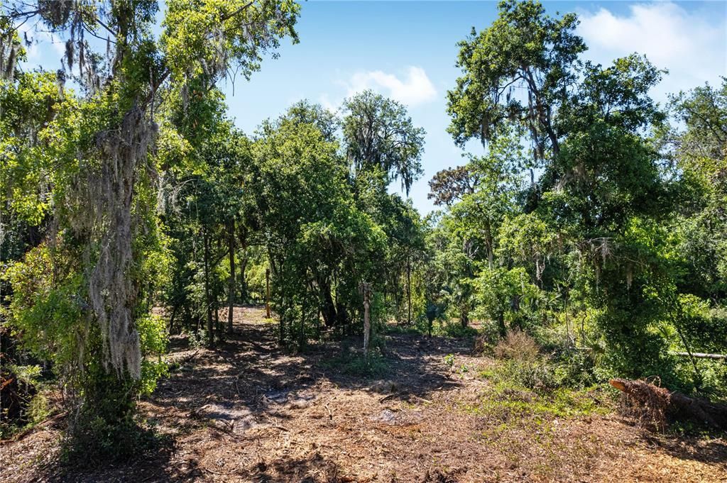 Vendido Recientemente: $225,000 (2.45 acres)