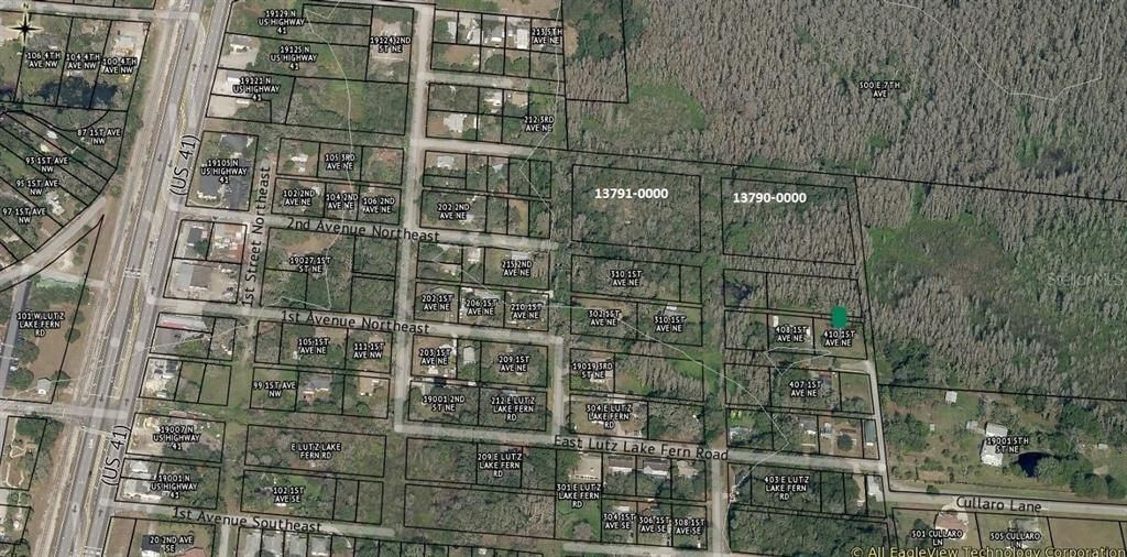 OVER VIEW of IMMEDIATE AREA where these 3.19 ACRES are located!