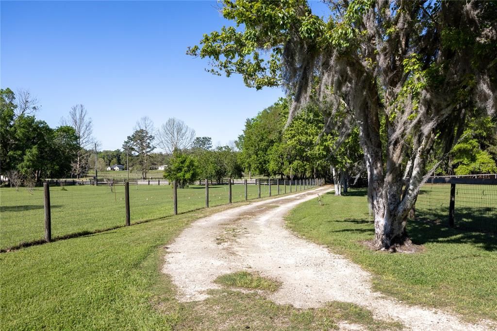 Private winding driveway