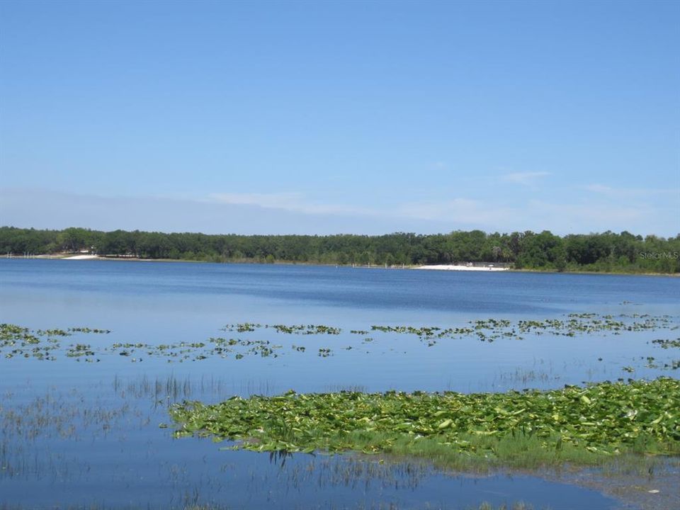 OCALA NATIONAL FOREST ACTIVITY