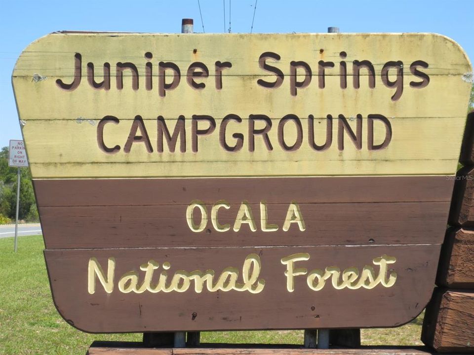 OCALA NATIONAL FOREST ACTIVITY