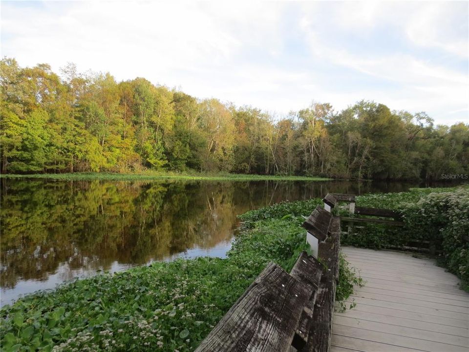 OCALA NATIONAL FOREST ACTIVITY