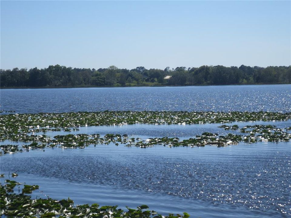 Lake Bryant