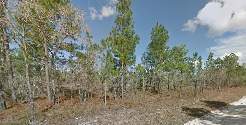 Recently Sold: $17,999 (1.25 acres)