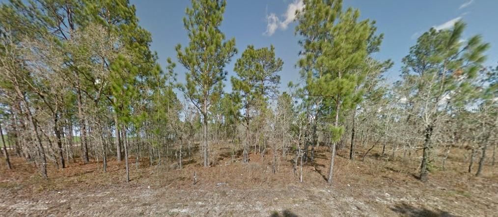 Recently Sold: $17,999 (1.25 acres)