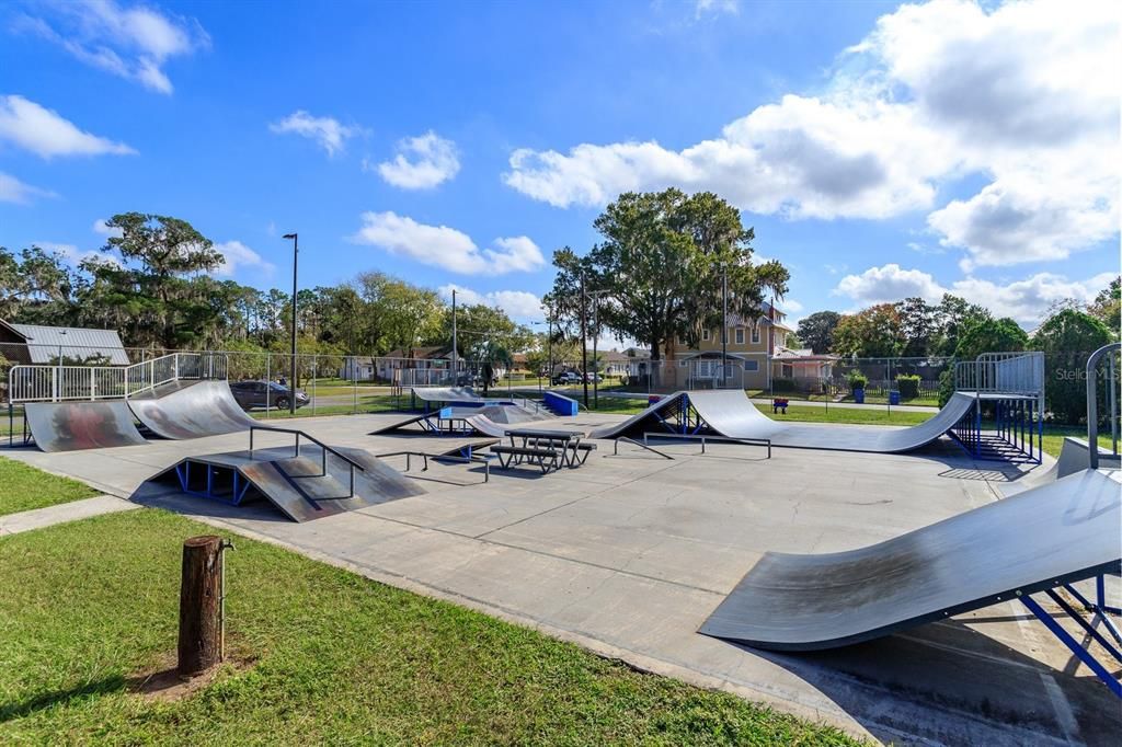 COPYRIGHT PHOTOS - Highlighting area of Groveland / Lake David Skate Park