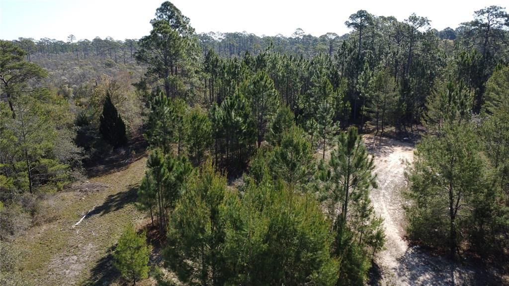 Active With Contract: $12,500 (0.11 acres)