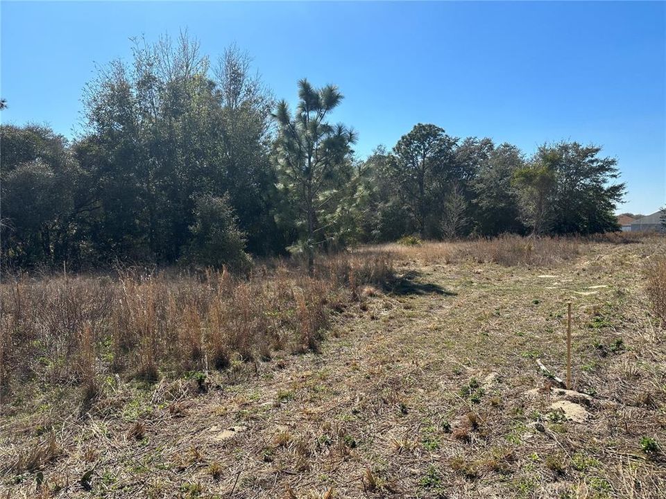 Active With Contract: $49,900 (0.50 acres)
