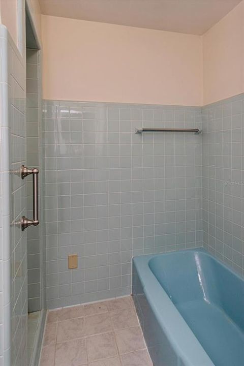 Primary bath with tub and separate shower