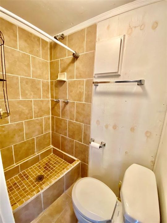 Garage Shower and commode