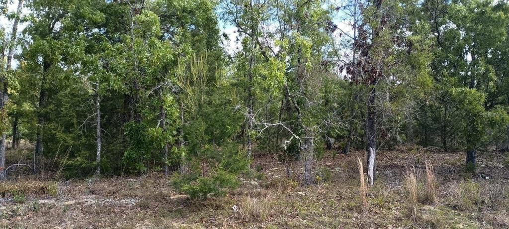 Active With Contract: $17,900 (0.23 acres)