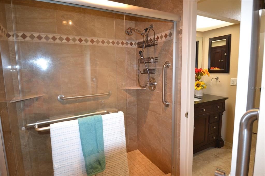 Shower and Vanity area