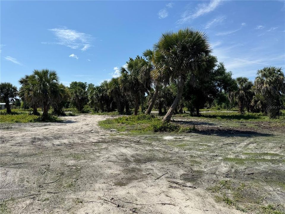 For Sale: $159,900 (2.50 acres)
