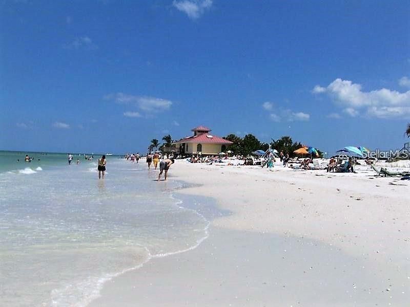 Honeymoon Island STate Park