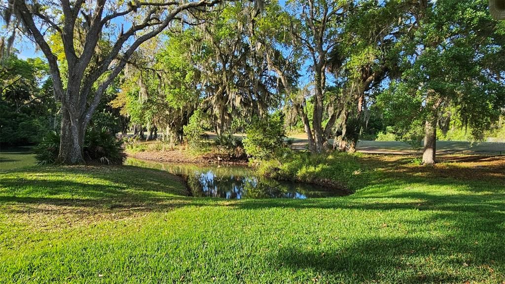 Golf course view