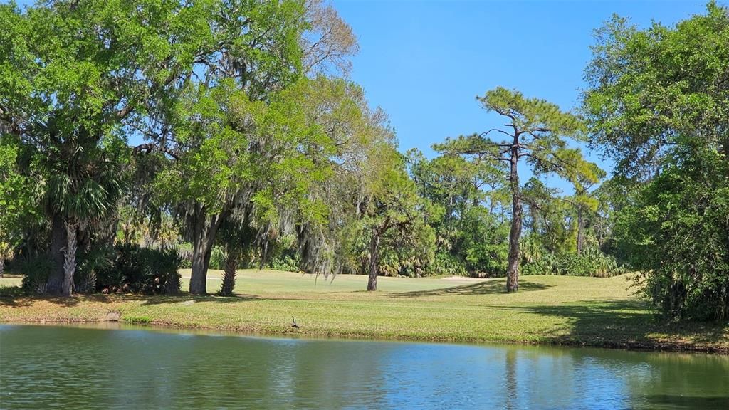 Pond view from cul-de-sac