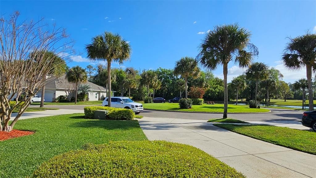 Open spaces across from the home