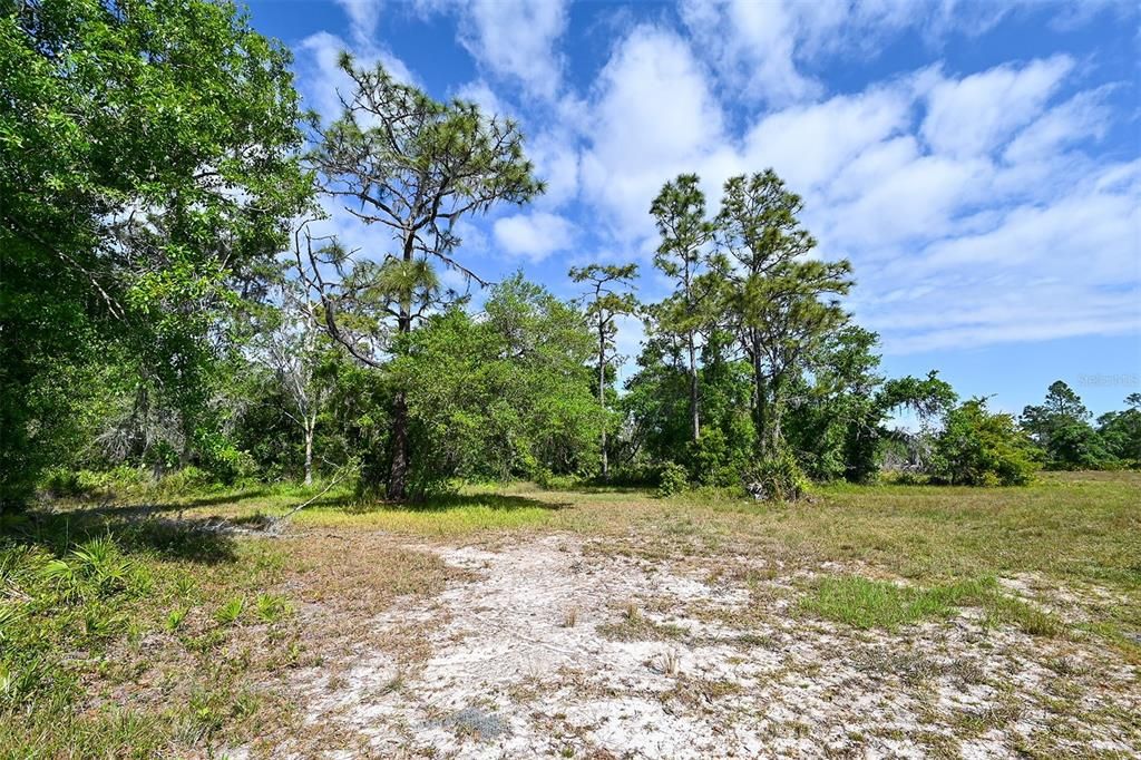 For Sale: $349,900 (5.00 acres)