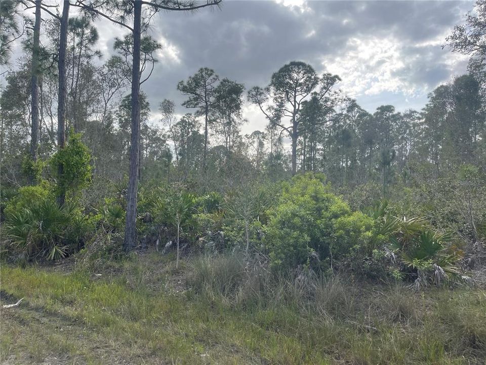 Active With Contract: $11,000 (0.18 acres)