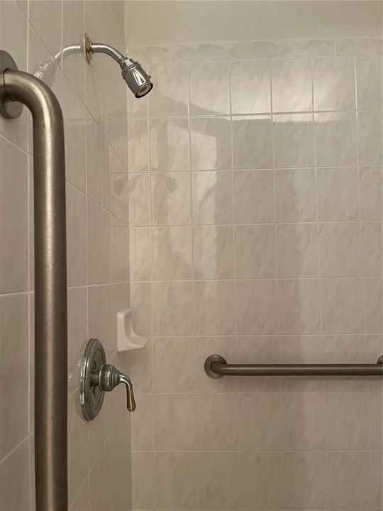 handicap accessible shower