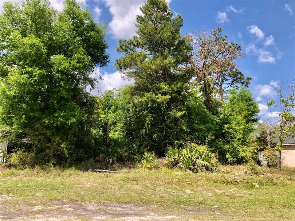 Active With Contract: $80,000 (0.23 acres)