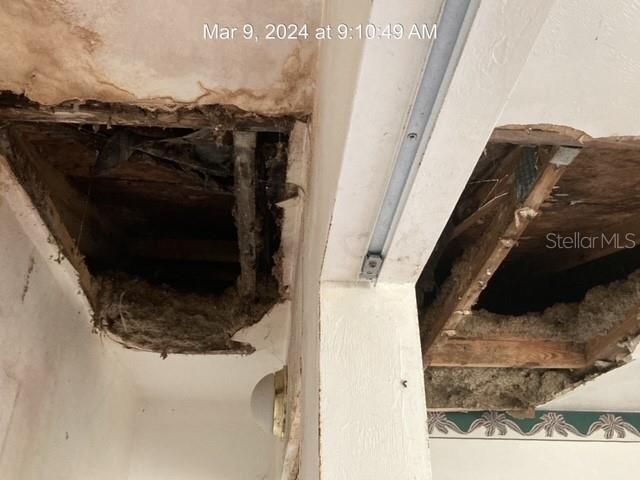 Ceiling Damage in Bedroom