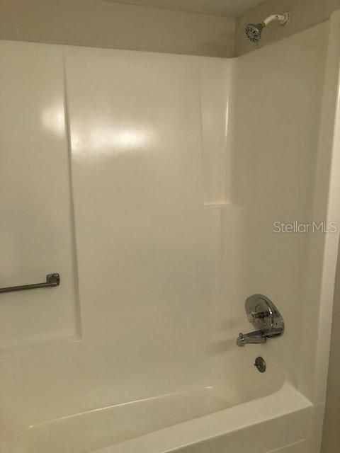Master bathtub/shower