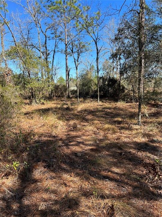 For Sale: $39,900 (1.78 acres)