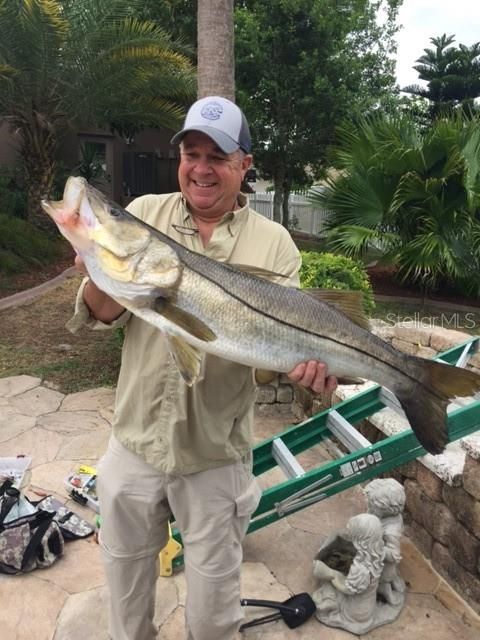 GREAT SNOOK CAUGHT BEHIND HOUSE!!