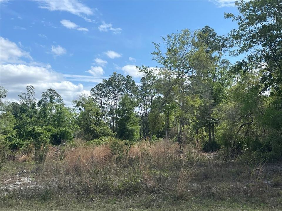 Recently Sold: $39,000 (2.27 acres)