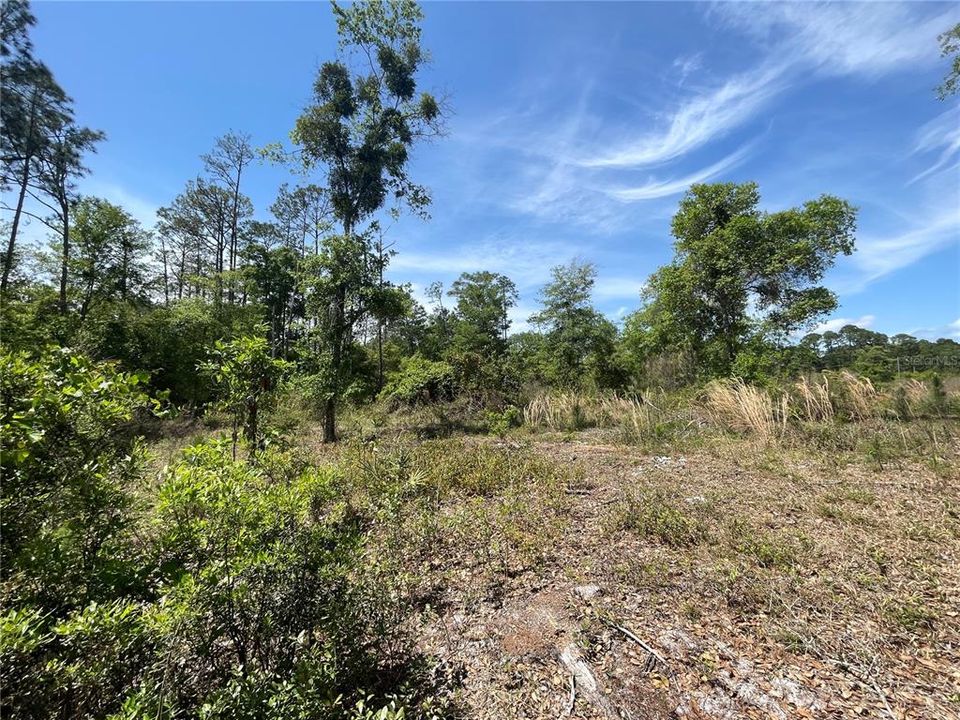 Recently Sold: $39,000 (2.27 acres)