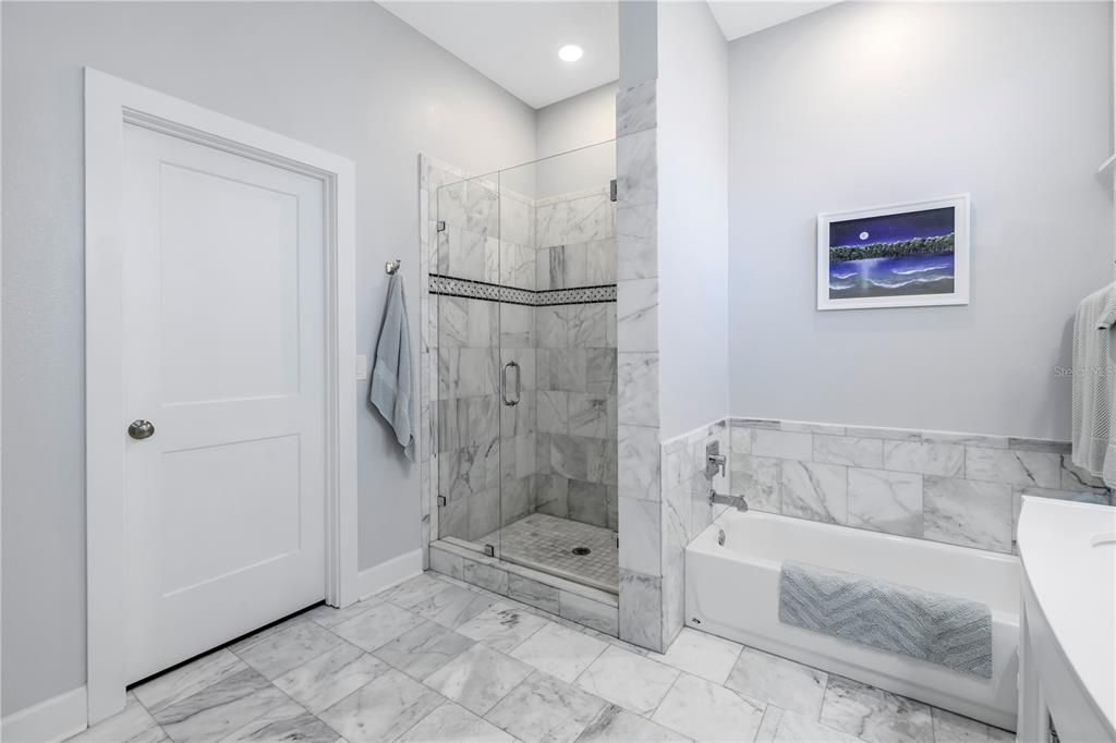 Primary shower and stand alone bath tub.