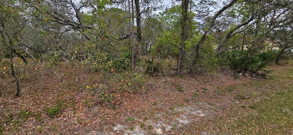 Recently Sold: $50,000 (0.66 acres)