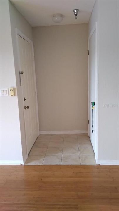 Entry area with closet