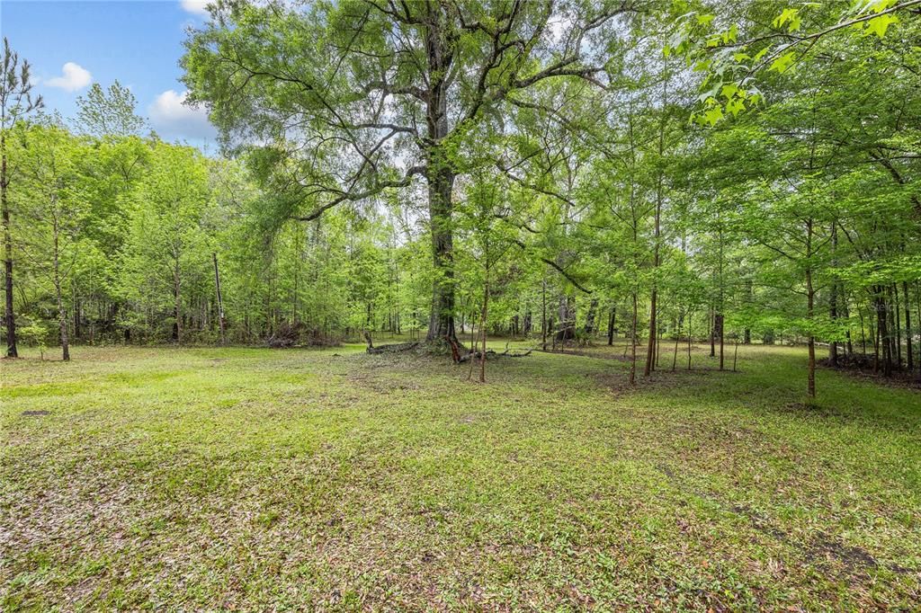 For Sale: $350,000 (5.00 acres)