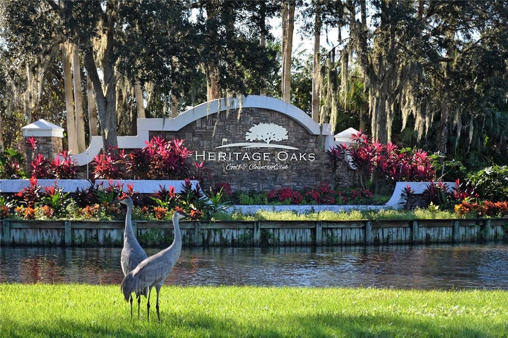 Heritage Oaks