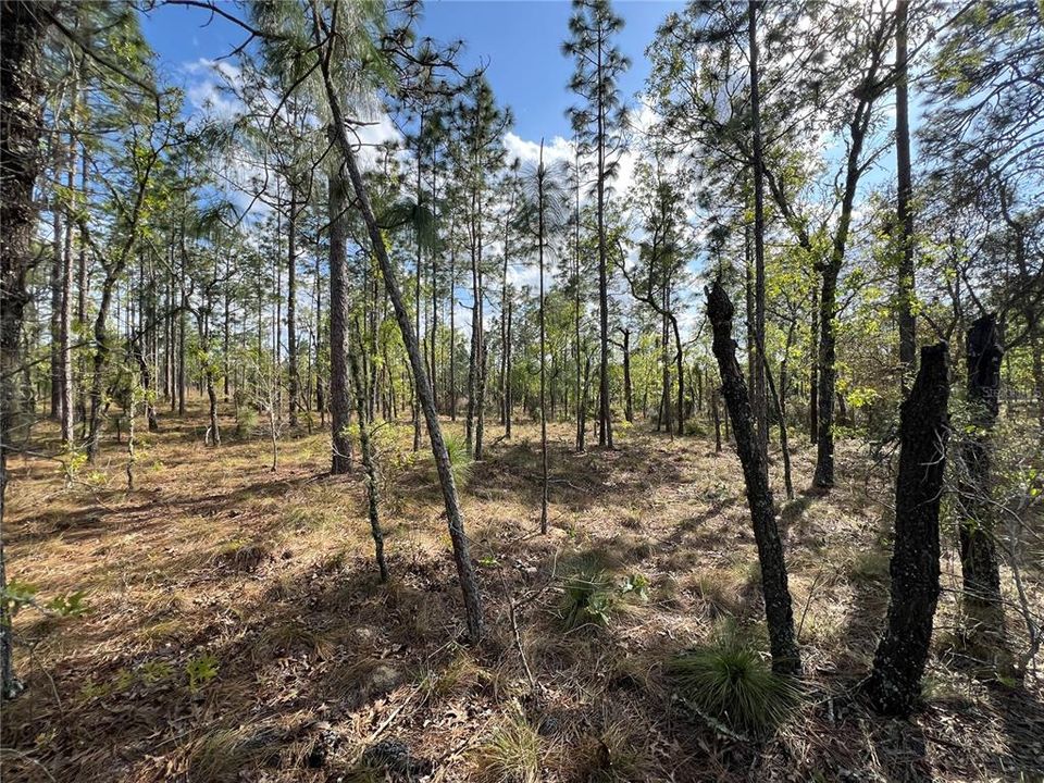 Active With Contract: $45,000 (2.00 acres)