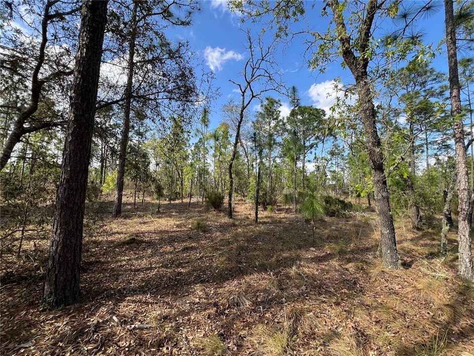 Active With Contract: $45,000 (2.00 acres)