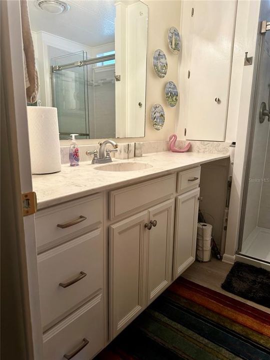 Stunning main bath updated with new shower and vanity