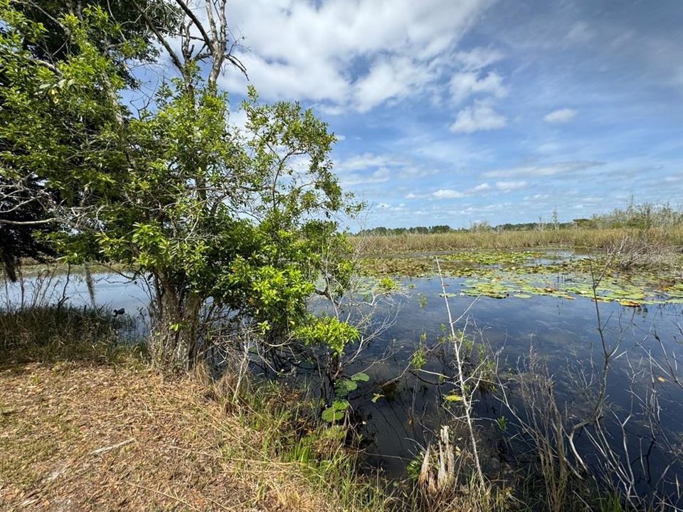 На продажу: $28,000 (0.20 acres)