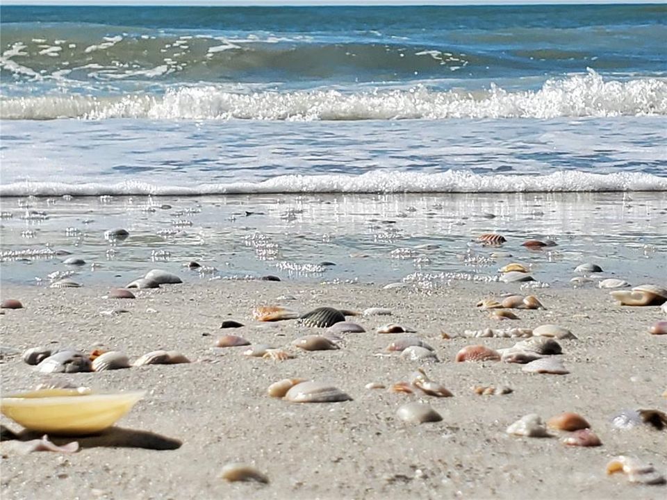 Treasure Island Beach, FL