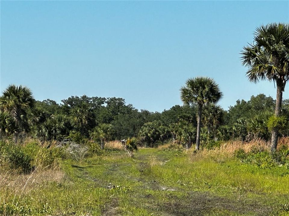 Active With Contract: $350,000 (20.83 acres)