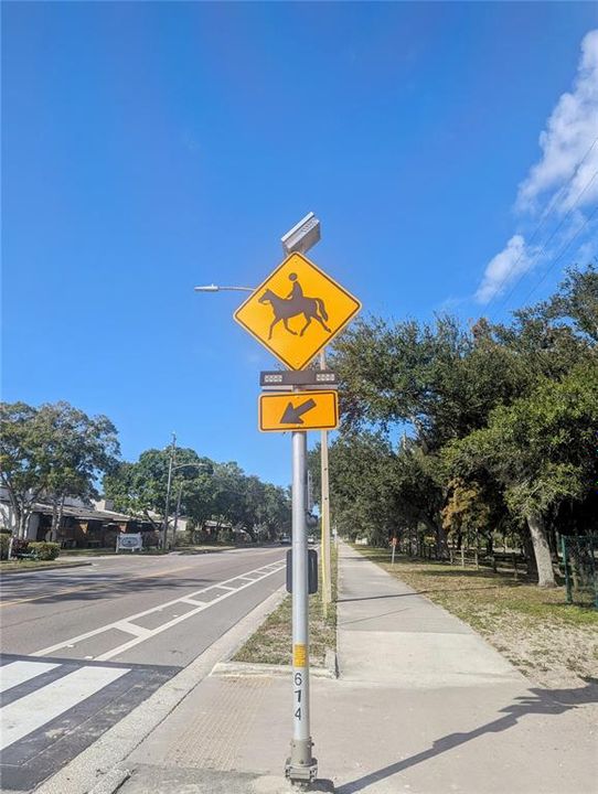 Horse crossing throughout Pinellas Parks Equestrian Community