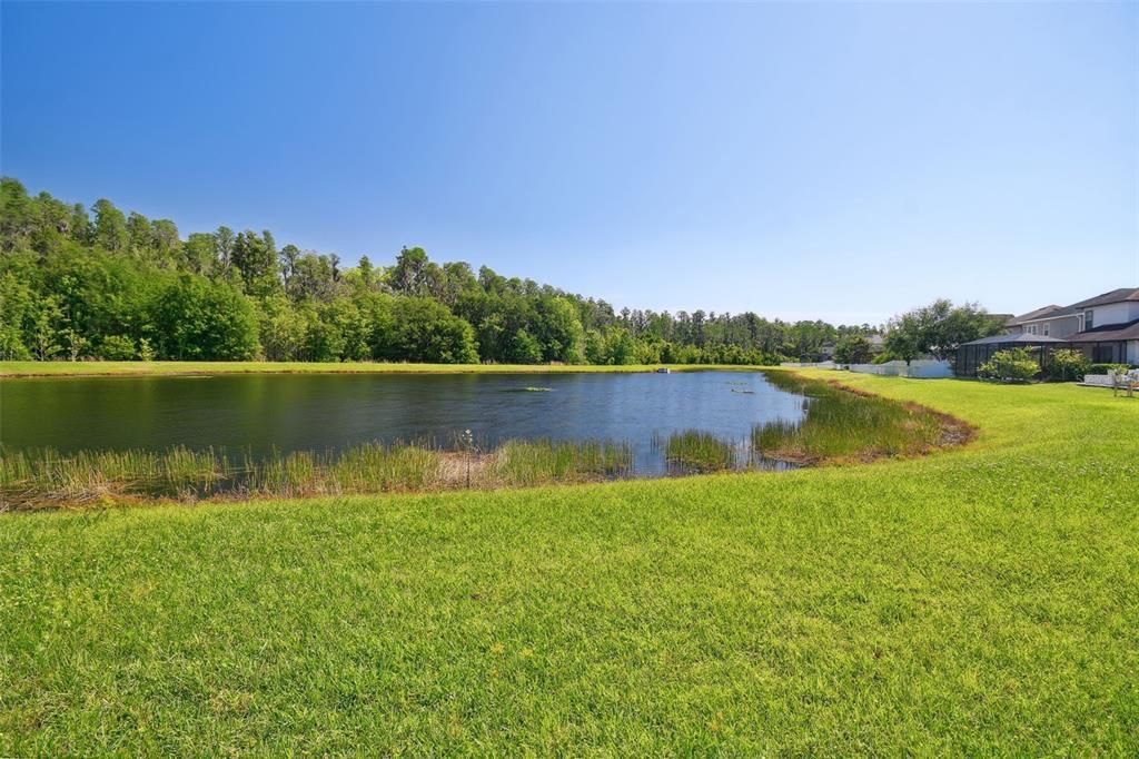 Pond and Conservation View