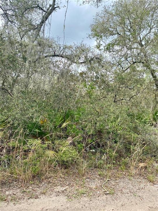 Active With Contract: $9,000 (0.41 acres)
