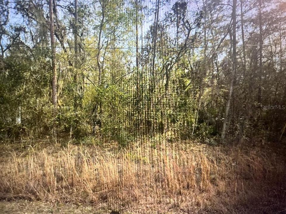 For Sale: $8,600 (0.22 acres)