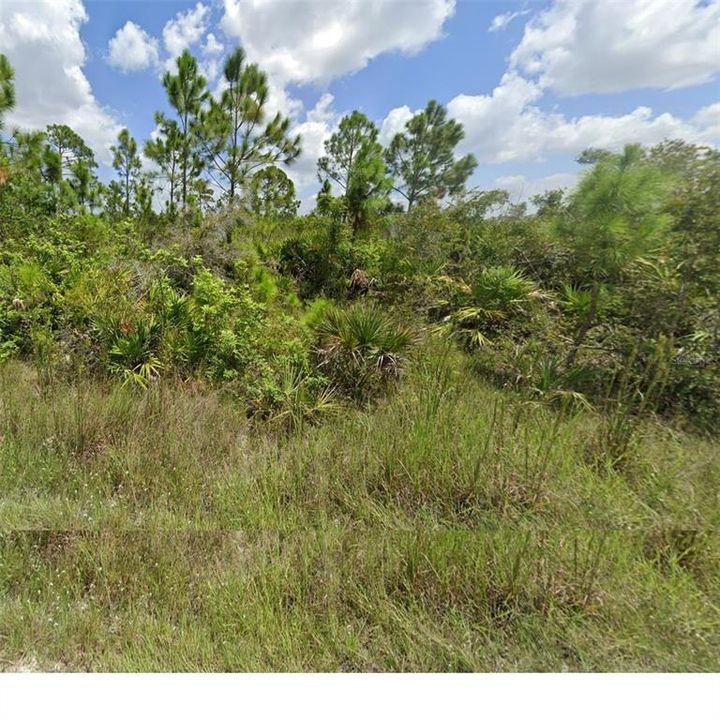 For Sale: $125,000 (2.50 acres)