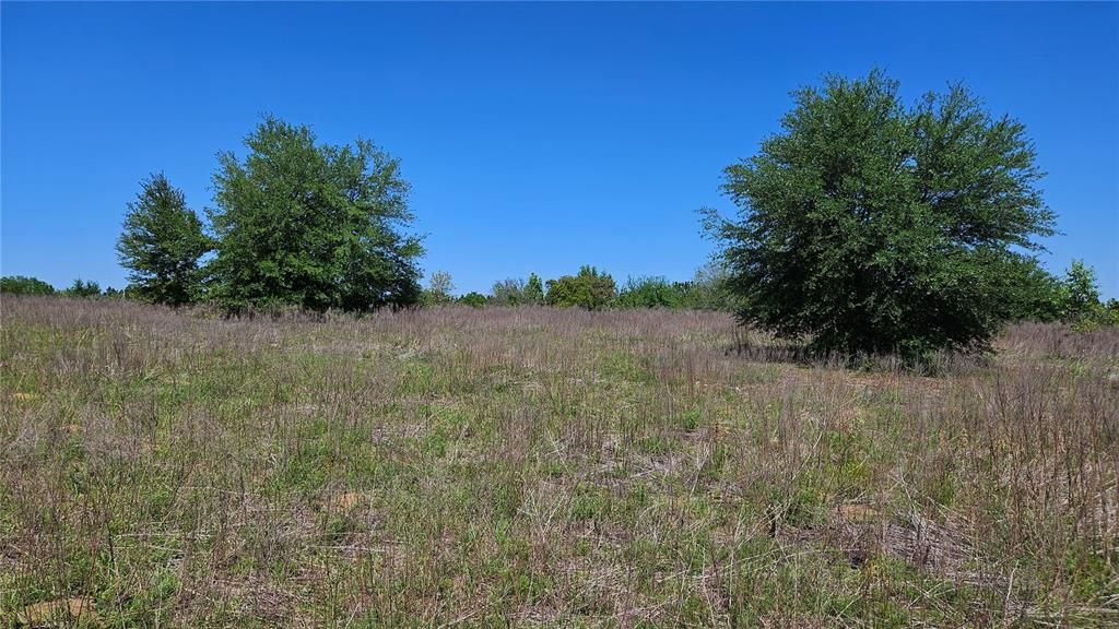 For Sale: $13,000 (0.47 acres)